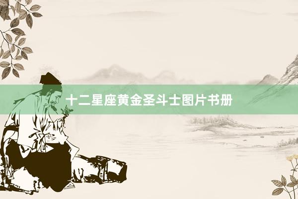十二星座黄金圣斗士图片书册