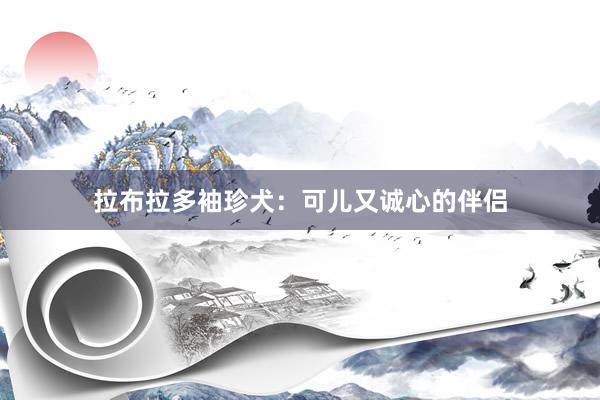 拉布拉多袖珍犬：可儿又诚心的伴侣